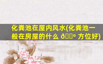 化粪池在屋内风水(化粪池一般在房屋的什么 🌺 方位好)